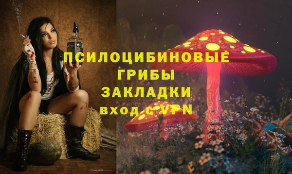 скорость Богданович