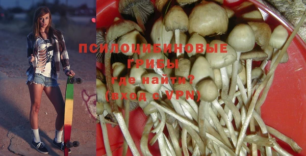 ECSTASY Богородск