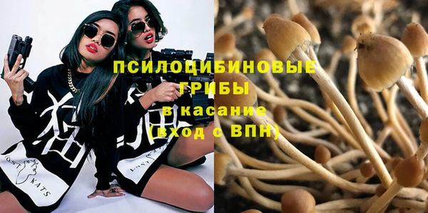 ECSTASY Богородск