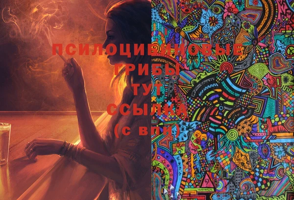 гашиш Богородицк