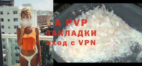 ECSTASY Богородск