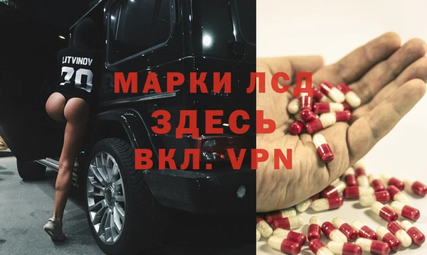 ECSTASY Богородск