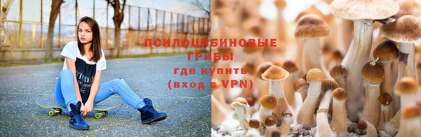 ECSTASY Богородск