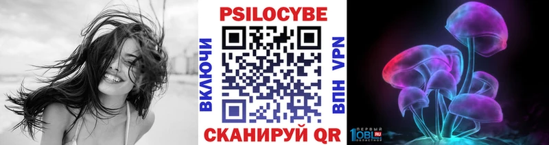 Псилоцибиновые грибы Cubensis  купить   Туран 